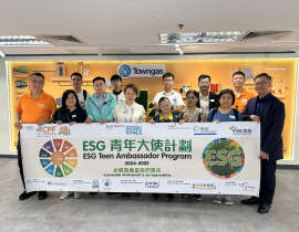Group Cover Page Towngas